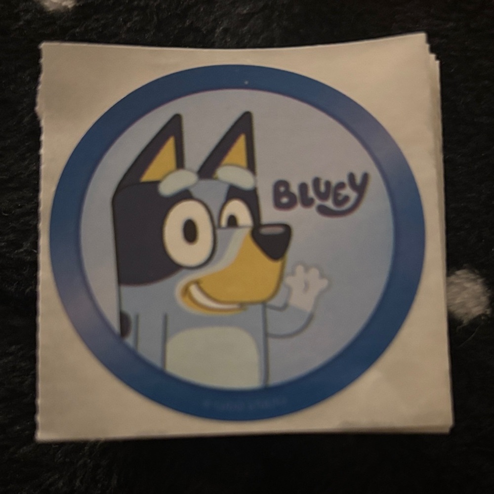 Bluey stickers 10 pack